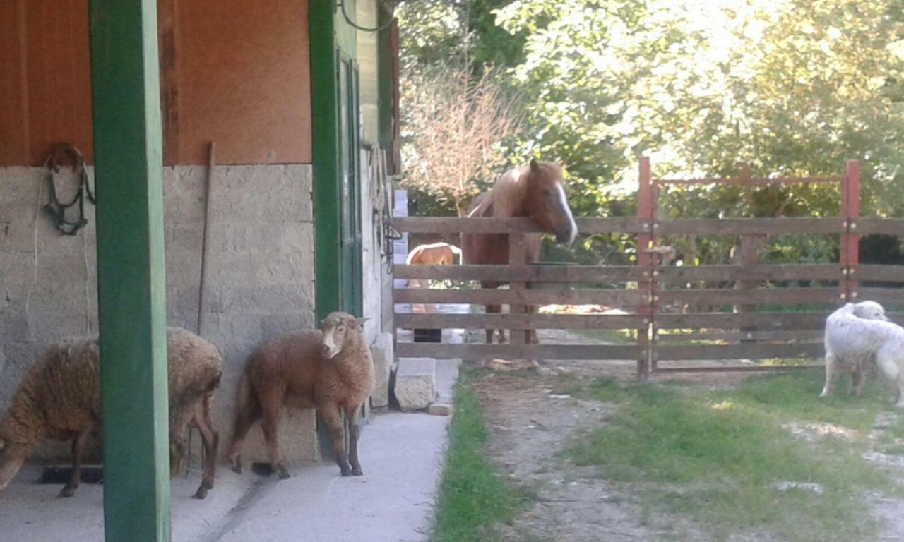 La Masseria Di Antonio E Teresina Colli a Volturno Exterior foto