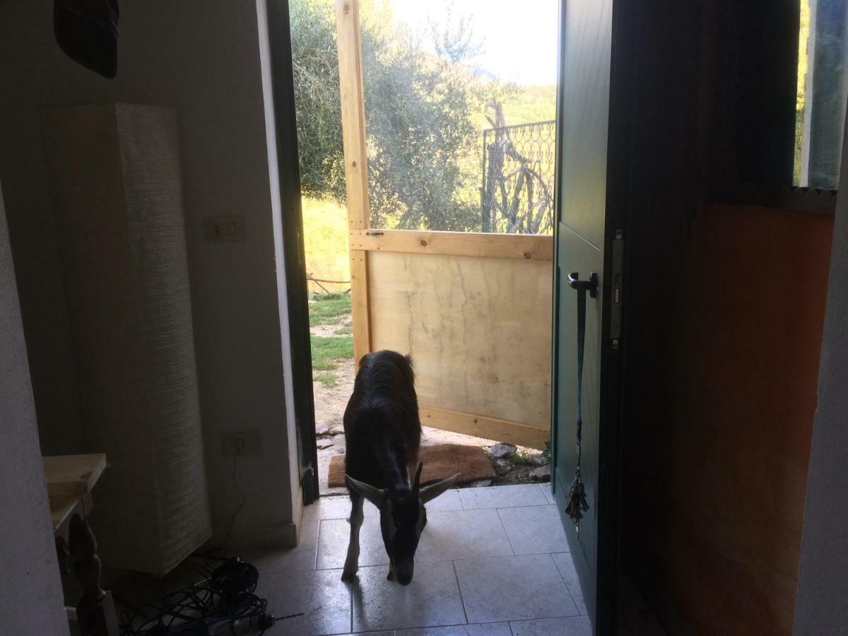 La Masseria Di Antonio E Teresina Colli a Volturno Exterior foto