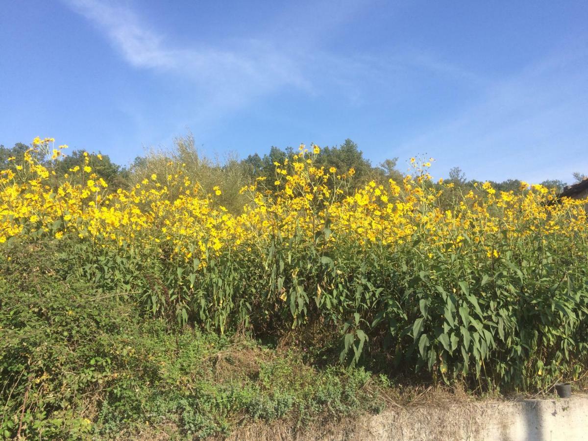 La Masseria Di Antonio E Teresina Colli a Volturno Exterior foto